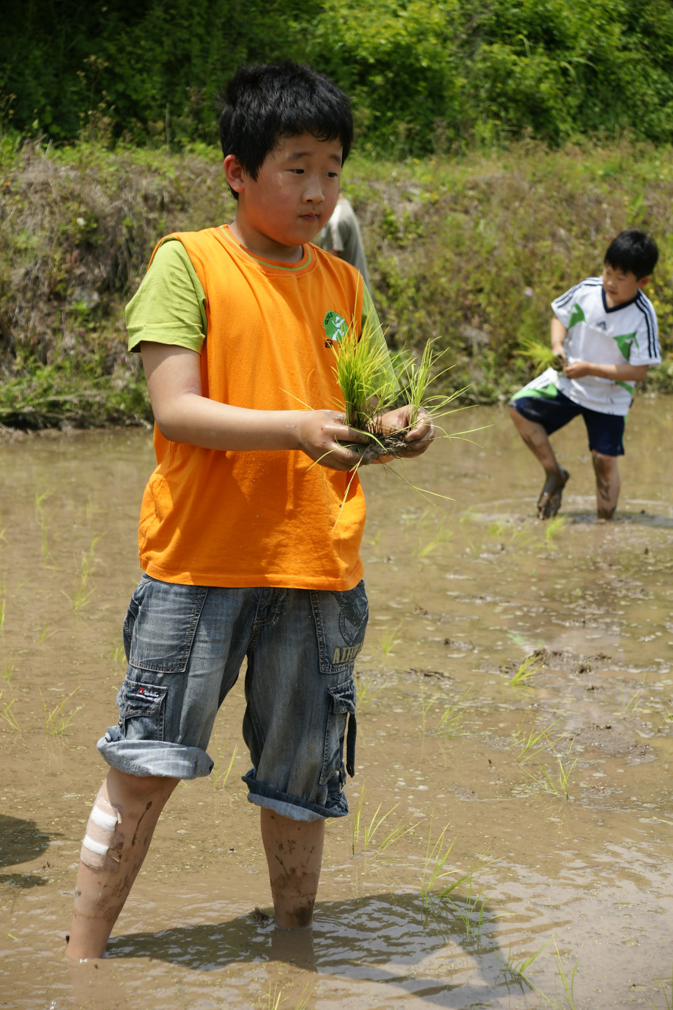 DSC05444-33.jpg